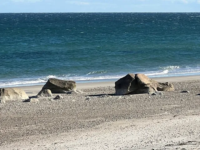a view of a lake from a yard