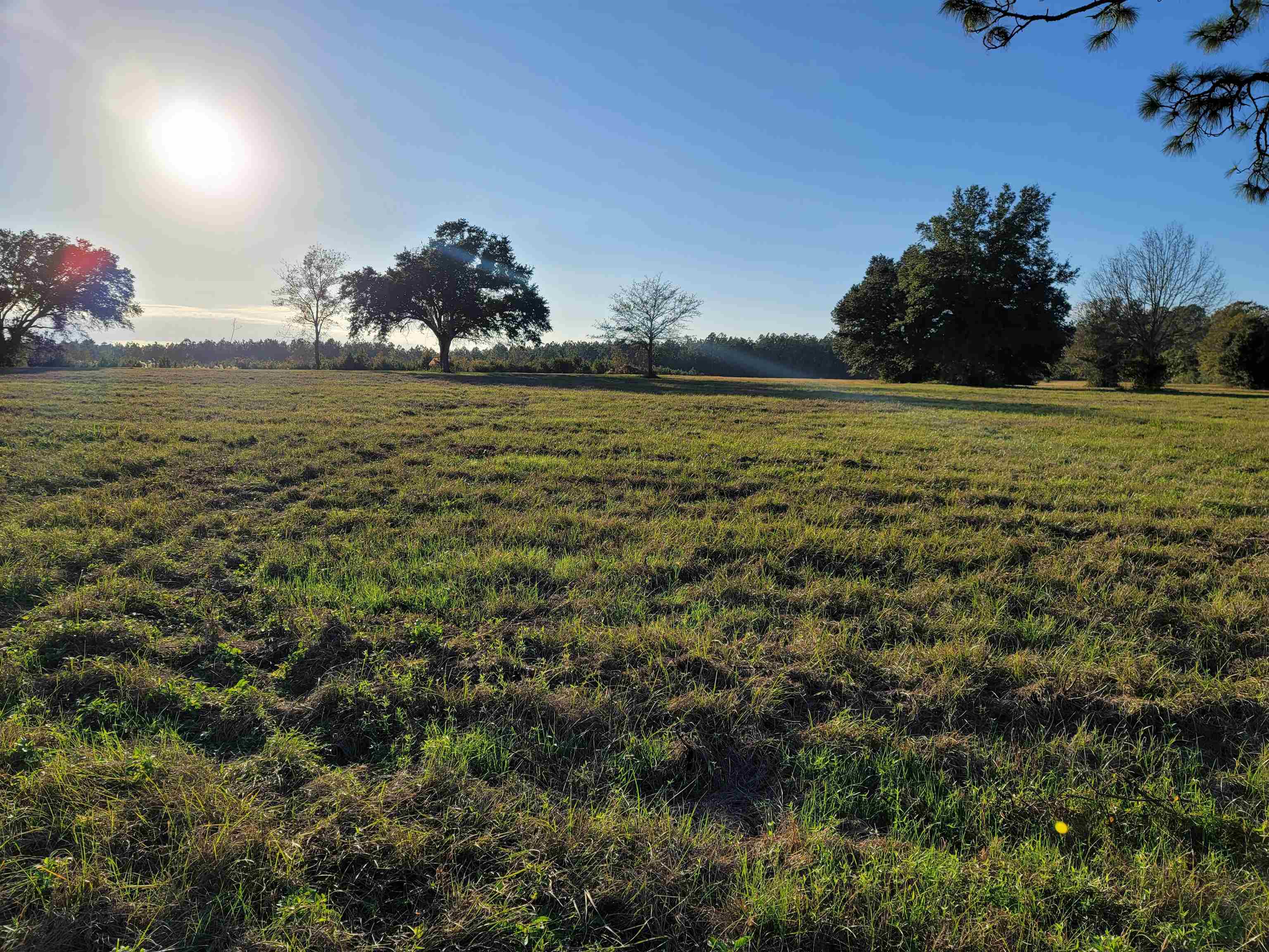 10341 County Road 91 Lillian, AL 36549 - Photo 5 of 7