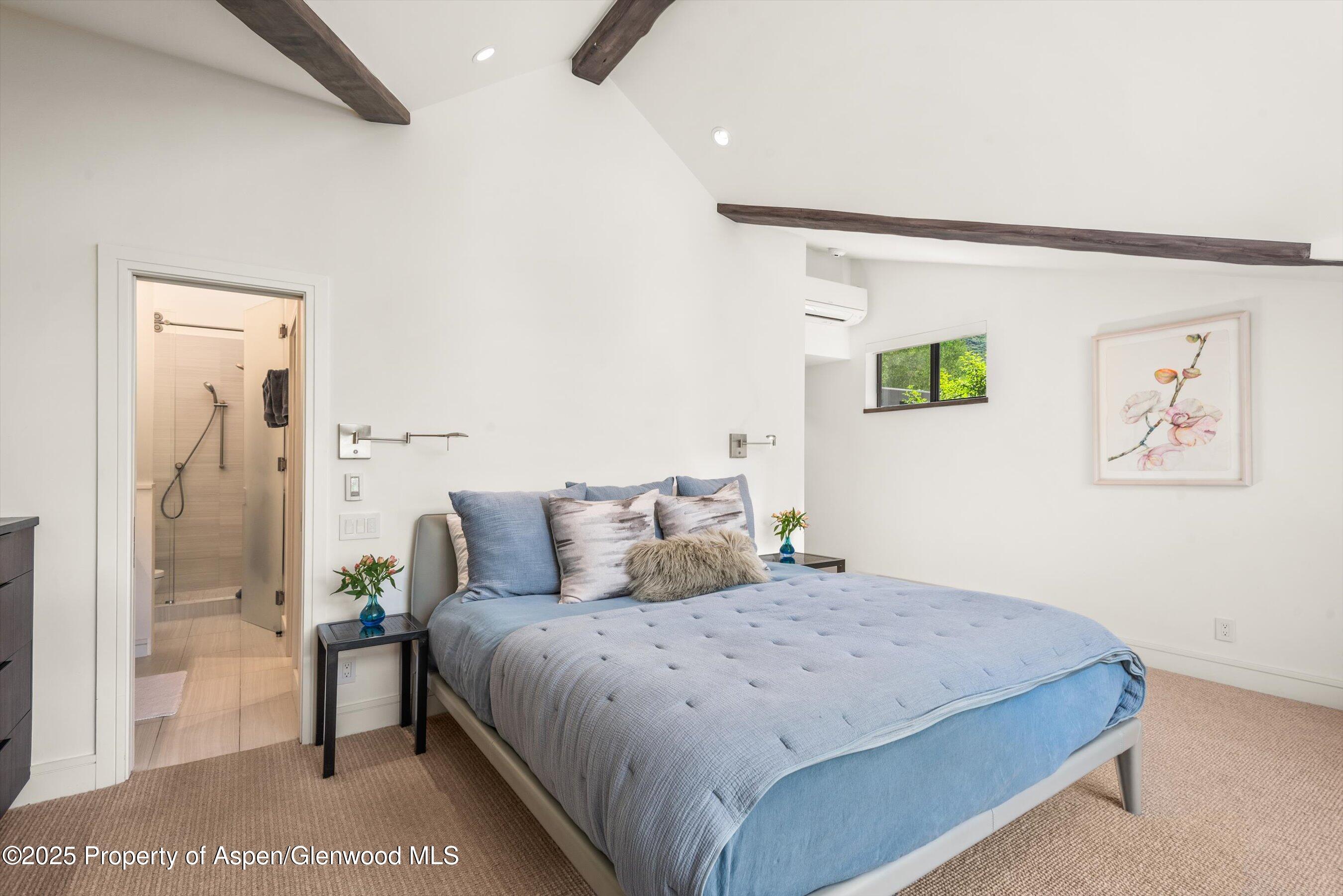 155 Lone Pine Road, Unit RIVER BLUFF #2 Aspen, CO 81611 - Photo 27 of 43 52-155LonePine2_250709033