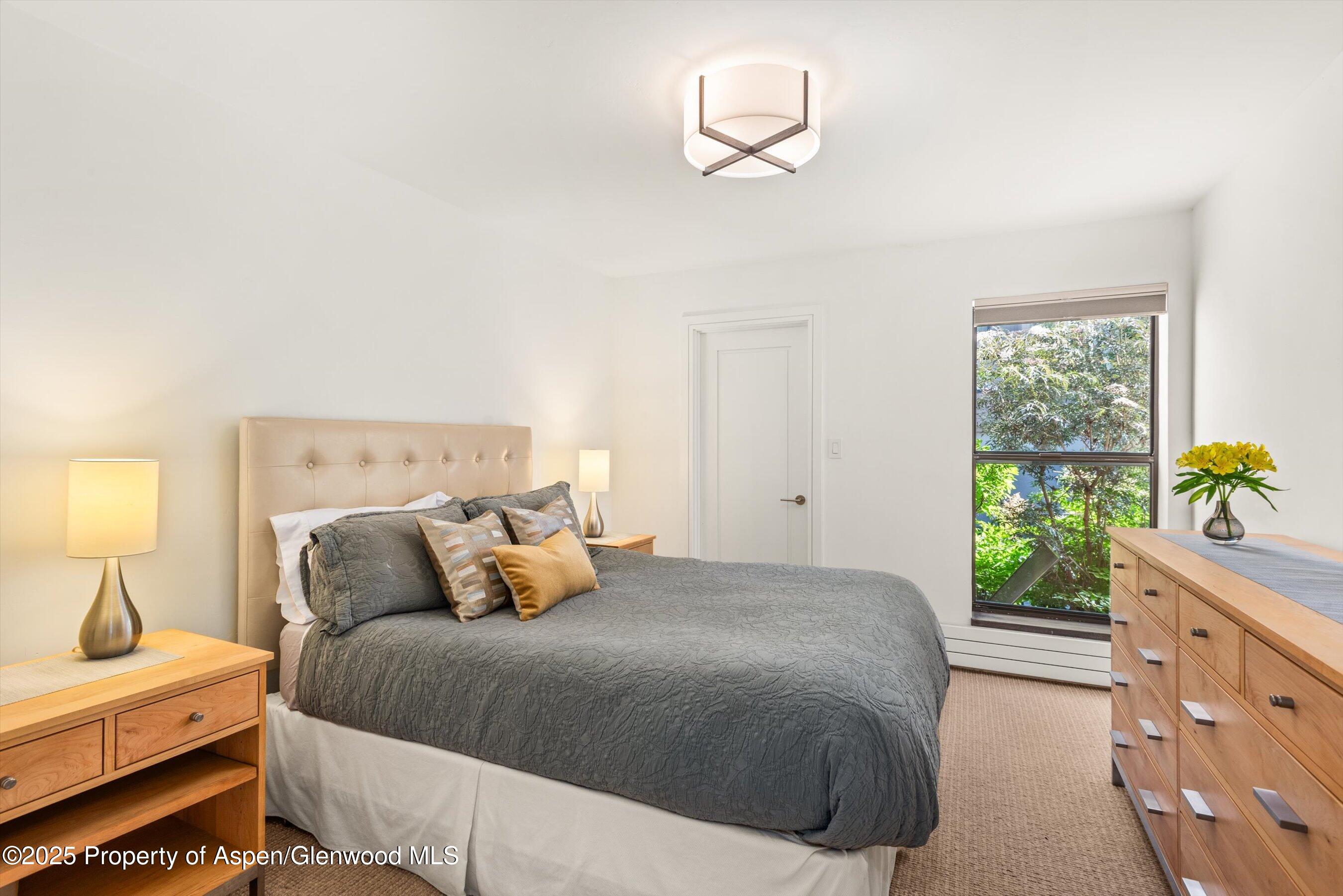 155 Lone Pine Road, Unit RIVER BLUFF #2 Aspen, CO 81611 - Photo 33 of 43 60-155LonePine2_250709041