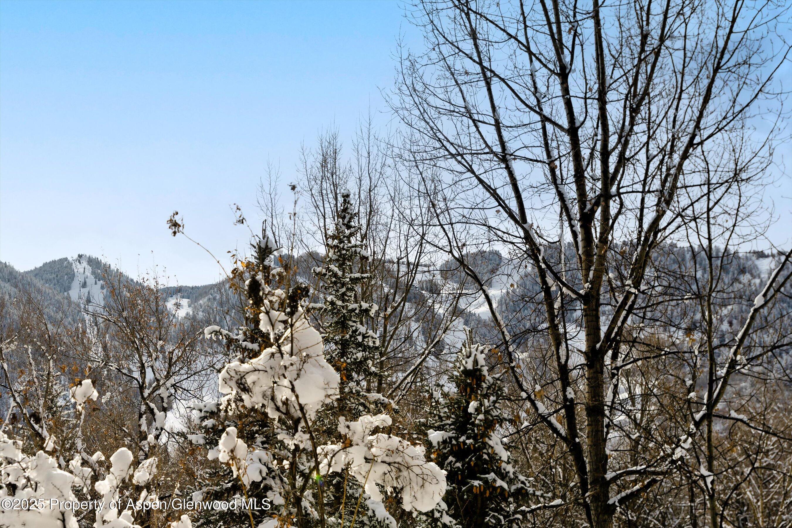 155 Lone Pine Road, Unit RIVER BLUFF #2 Aspen, CO 81611 - Photo 43 of 43 18-155LonePineRd#2_HiRes_22120717