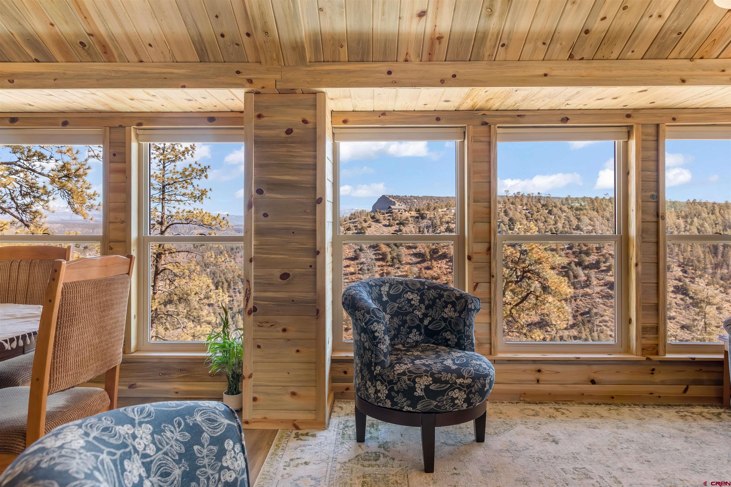 817 Far View Road Pagosa Springs, CO 81147 - Photo 27 of 44