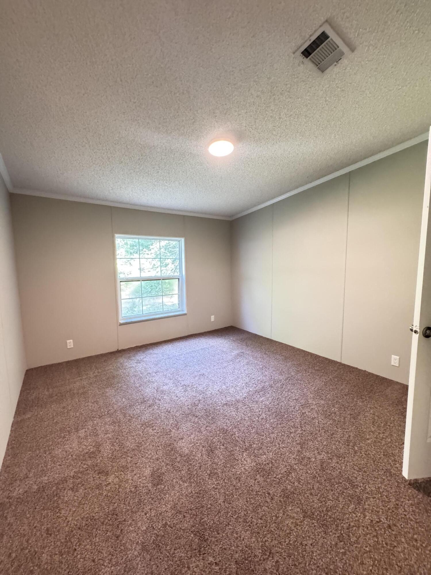 3486 Rehoboth Road Cottageville, SC 29435 - Photo 34 of 96