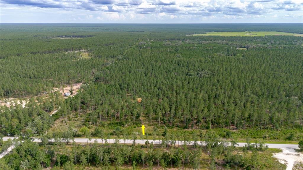 Northeast 90th Street Road Fort McCoy, FL 32134 - Photo 12 of 25