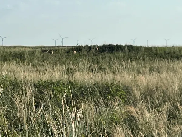 a view of a lake with a mountain in the background