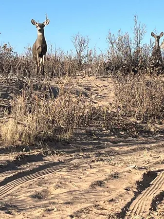 a picture of a lake view