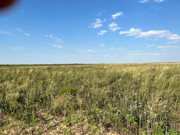 a view of beach and lake