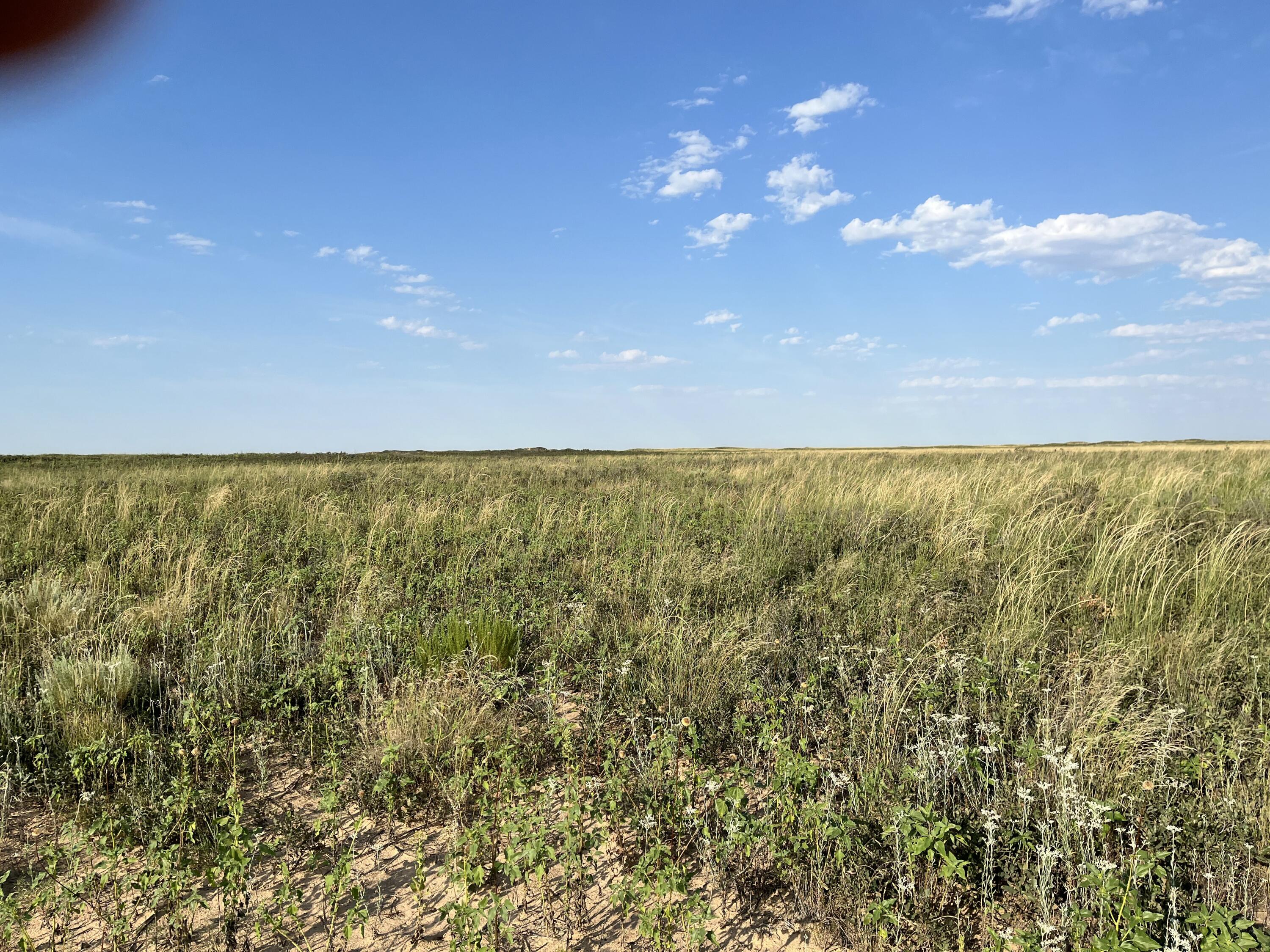 1585 Co Road Morton, TX 79346 - Photo 9 of 11 a view of an ocean from a yard
