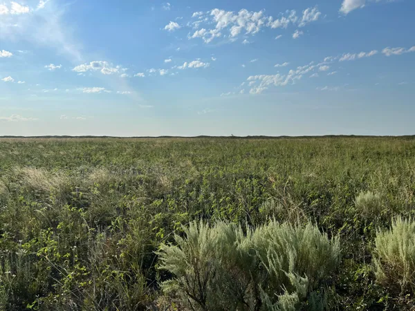 $753,000 | 1585 Co Road, Morton, TX 79346