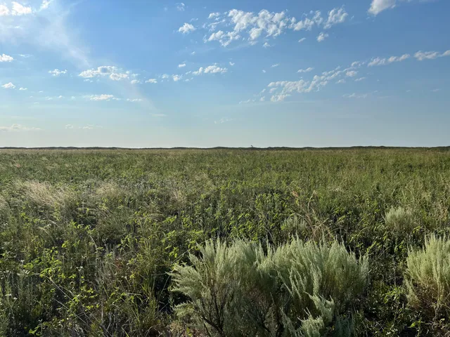 $753,000 | 1585 Co Road, Morton, TX 79346