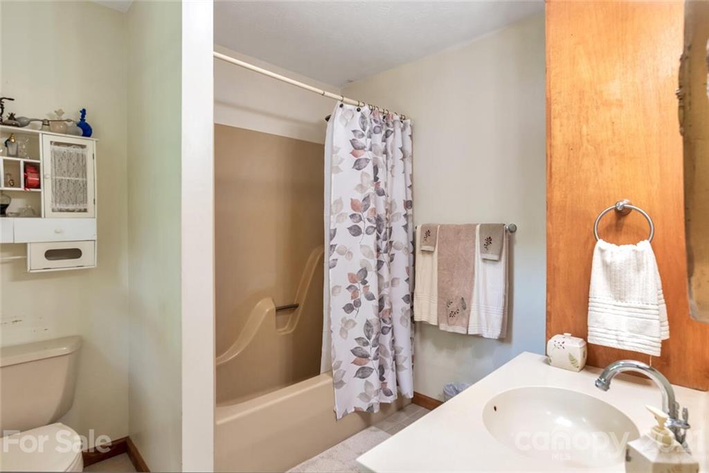 1158 Trammel Gap Road Saluda, NC 28773 - Photo 19 of 32 a bathroom with a sink toilet and shower