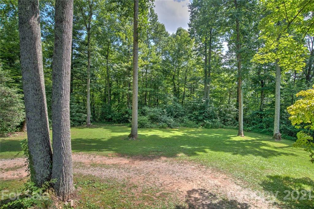 1158 Trammel Gap Road Saluda, NC 28773 - Photo 25 of 32 a view of a trees in a yard
