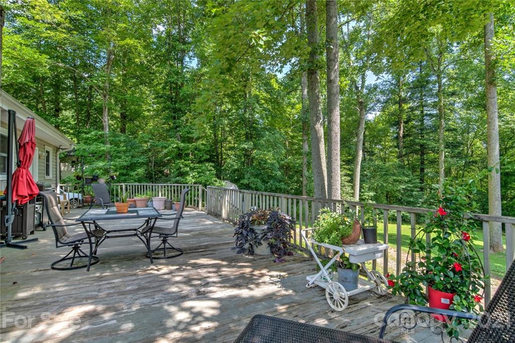 1158 Trammel Gap Road Saluda, NC 28773 - Photo 26 of 32 a garden view with a seating space