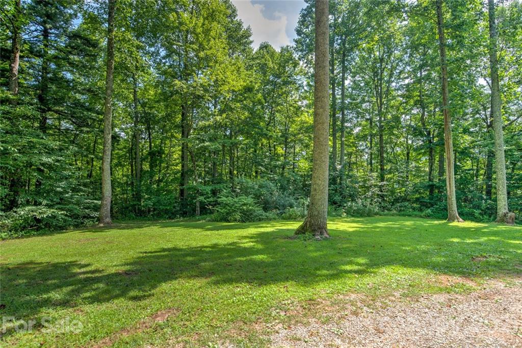 1158 Trammel Gap Road Saluda, NC 28773 - Photo 29 of 32 a view of a grassy field with trees in the background