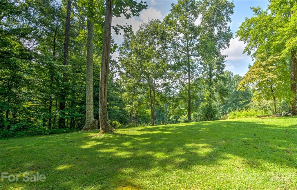 1158 Trammel Gap Road Saluda, NC 28773 - Photo 31 of 32 a backyard of a house with lots of green space