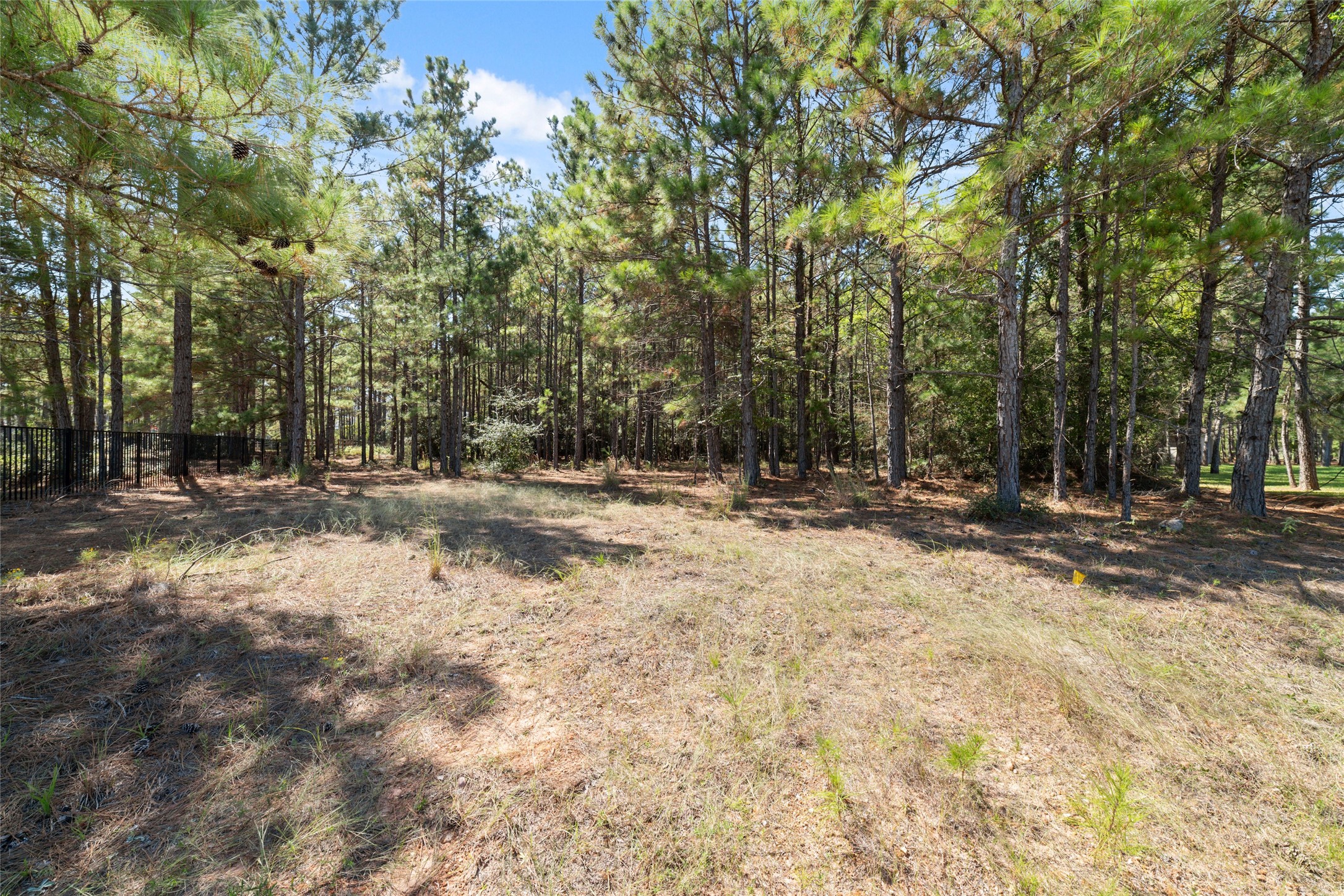 0 Ridgelake Court Montgomery, TX 77316 - Photo 2 of 29 Imagine the possibilities! Beautiful mature trees, and a peaceful natural setting provide the perfect backdrop for your future dream home. Enjoy the beauty of nature right outside your door!