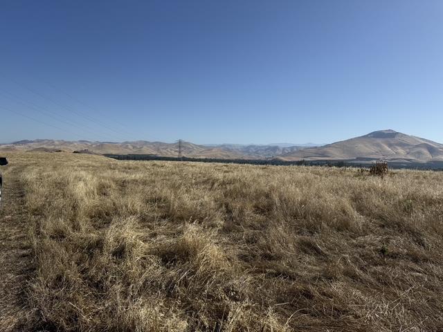 1900 North Piedra Road Sanger, CA 93657 - Photo 4 of 13