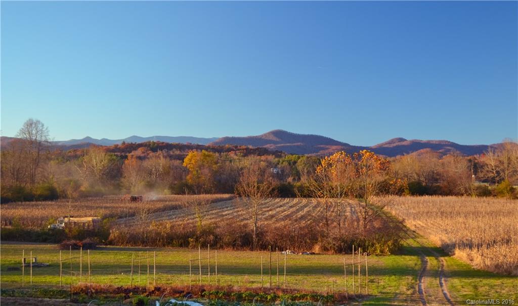 2859 Island Ford Road Brevard, NC 28712 - Photo 1 of 24 Gallery Image 1