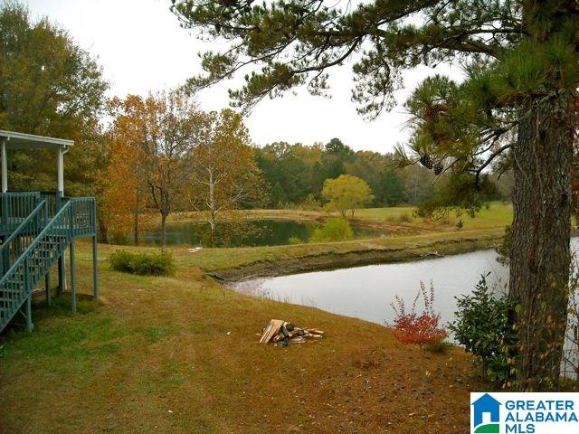 469 County Road 39 Clanton, AL 35046 - Photo 29 of 30