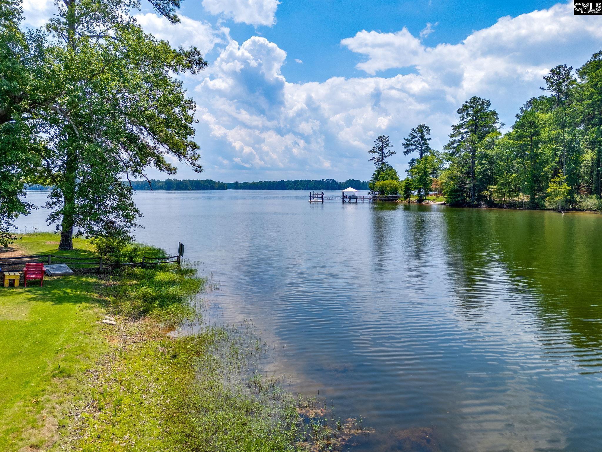 860 Misty Harbor Road Chapin, SC 29036 - Photo 4 of 43