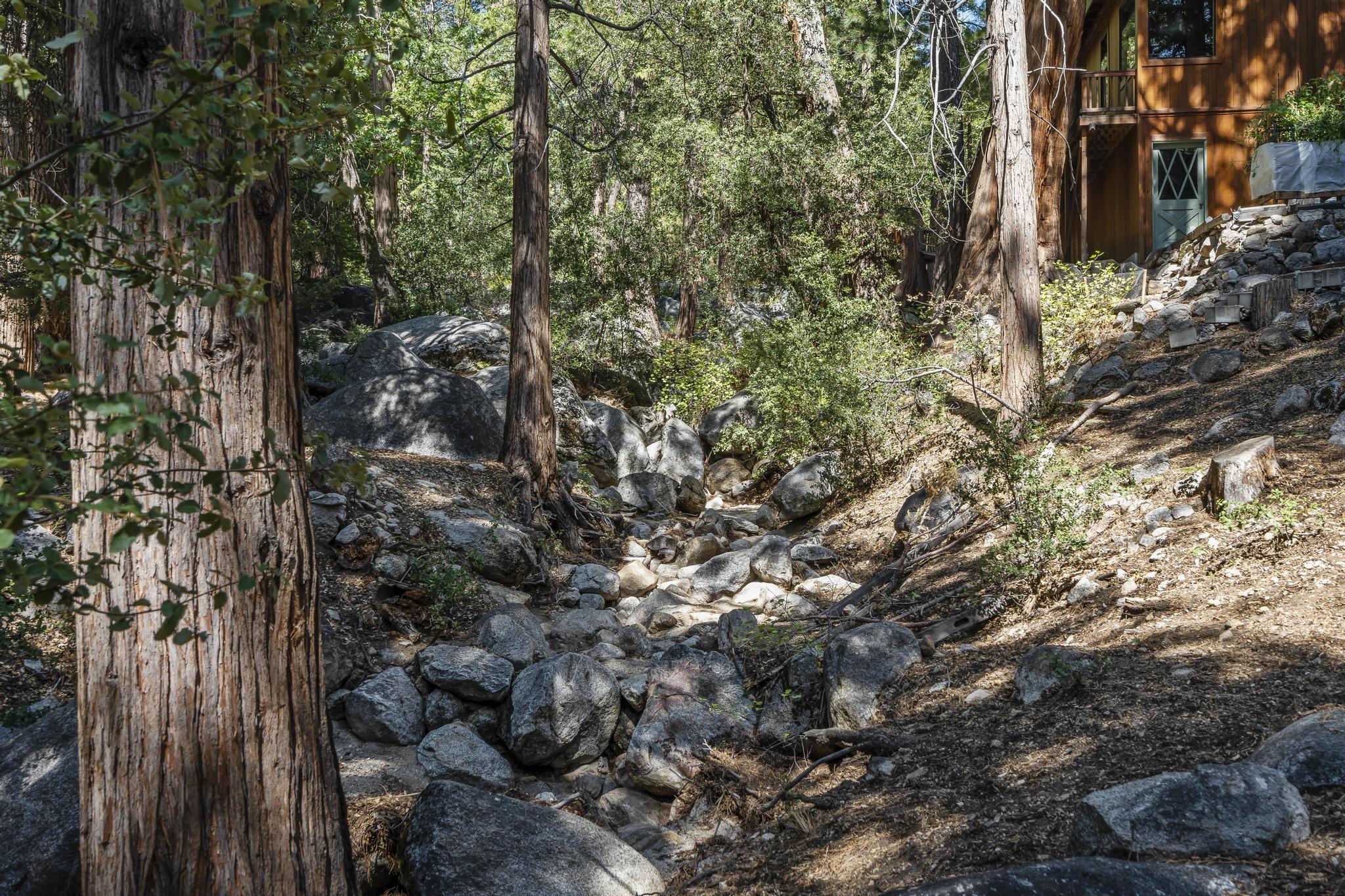 24747 Fern Valley Road Idyllwild, CA 92549 - Photo 4 of 42 a view of a forest with trees