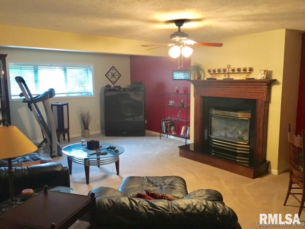 222 West Rutledge Street Petersburg, IL 62675 - Photo 25 of 34 Gallery Image 25