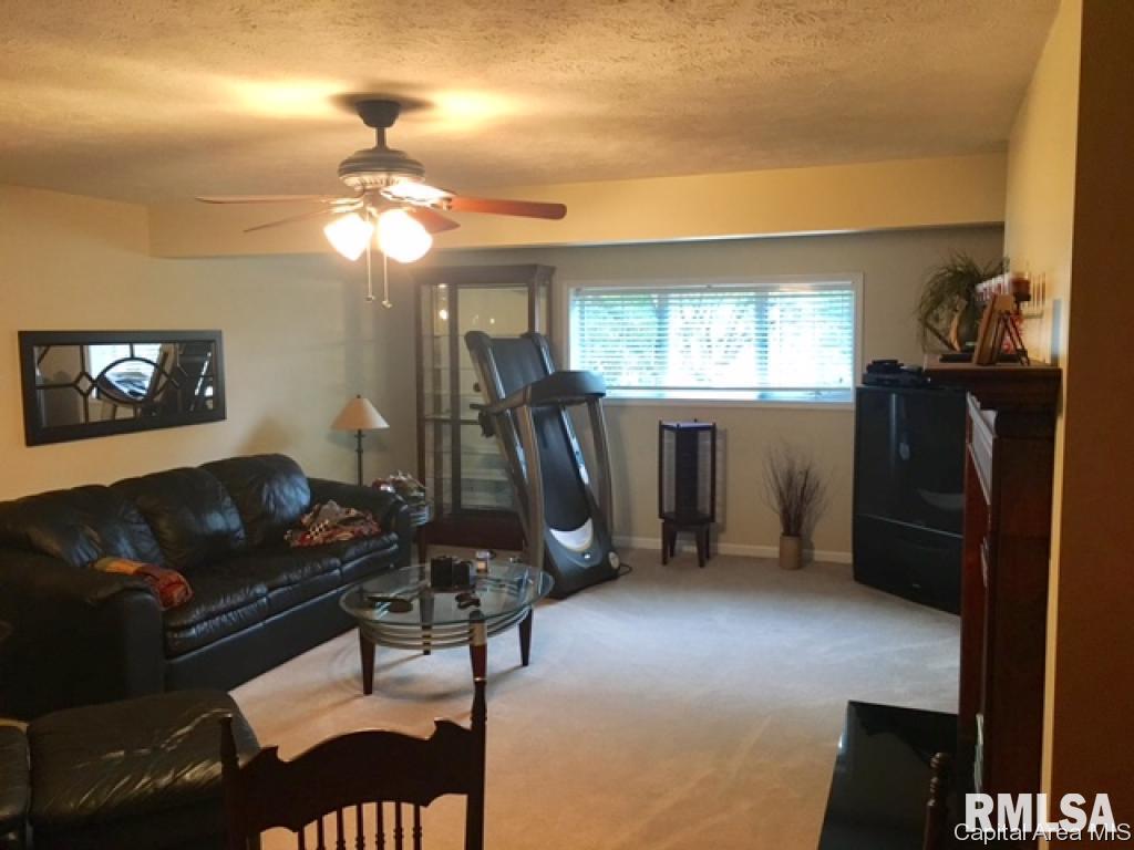 222 West Rutledge Street Petersburg, IL 62675 - Photo 26 of 34 Gallery Image 26
