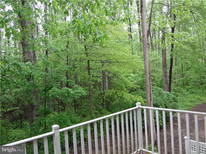 33 McComb Road Princeton, NJ 08540 - Photo 19 of 24