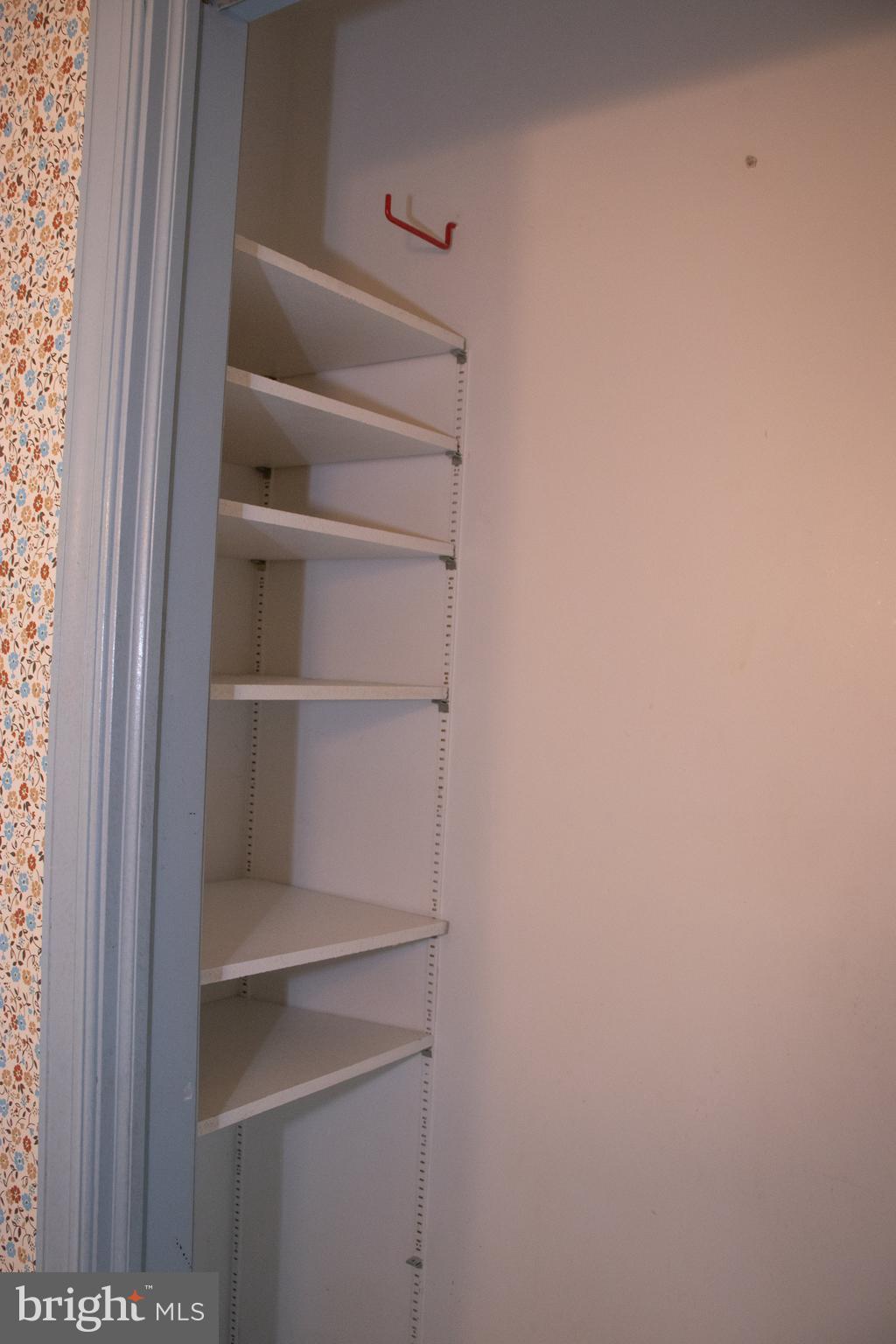 12212 Orange Plank Road Locust Grove, VA 22508 - Photo 45 of 76 Shelving in hall bath