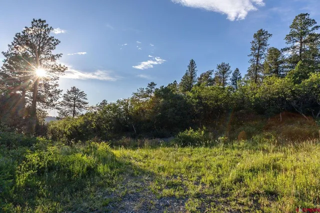 a view of a lake with a yard