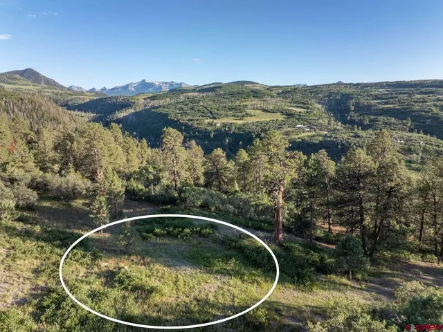 an aerial view of a house with a yard and mountain in the back