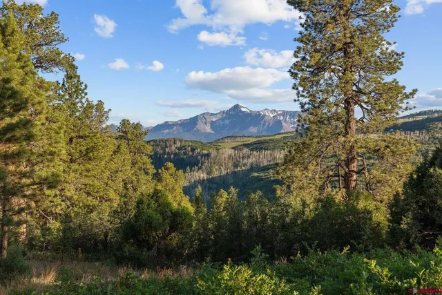 a view of a lake in middle of forest