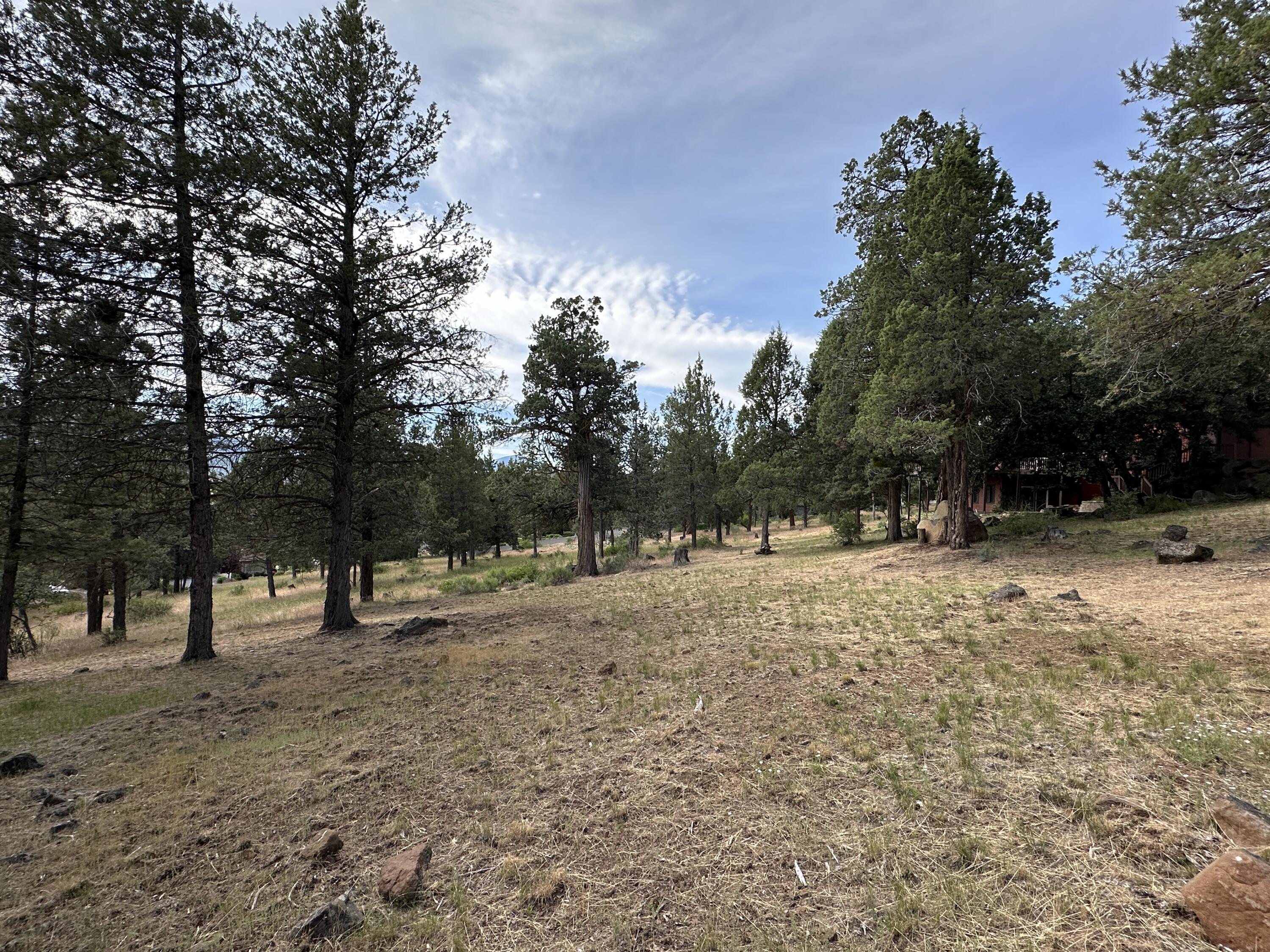 Lot 805 Cooper's Hawk Road Klamath Falls, OR 97601 - Photo 23 of 27 IMG_8775
