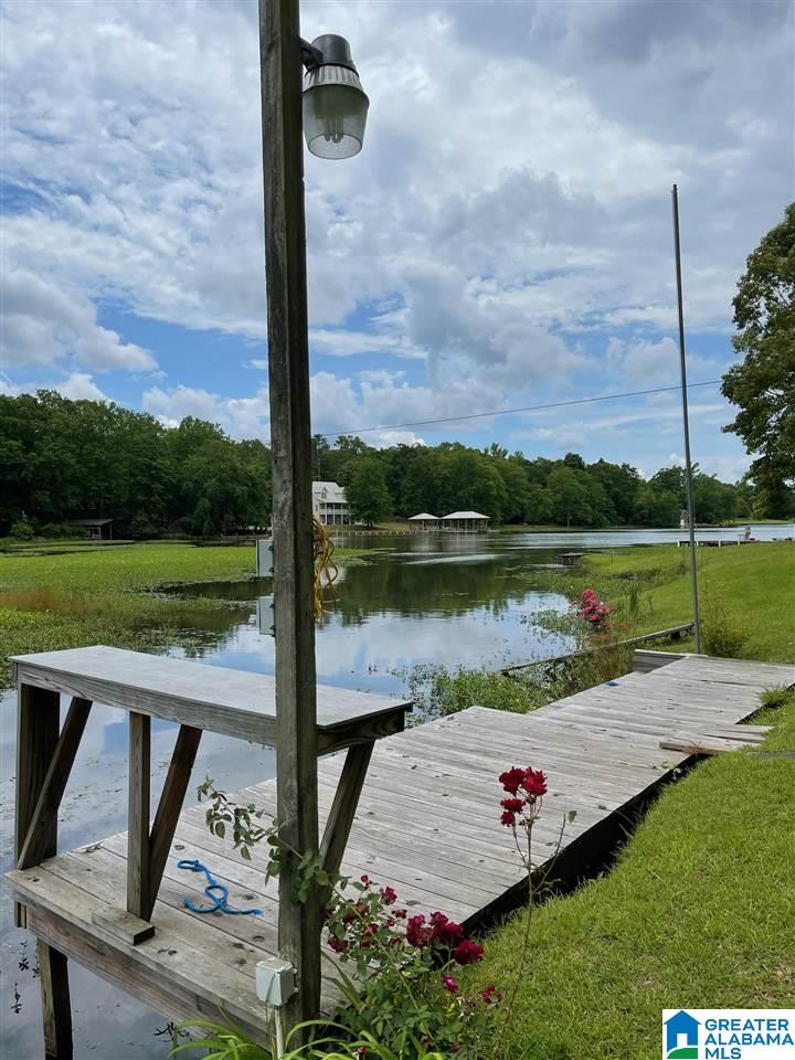 120 Turtle Point Shelby, AL 35143 - Photo 6 of 19