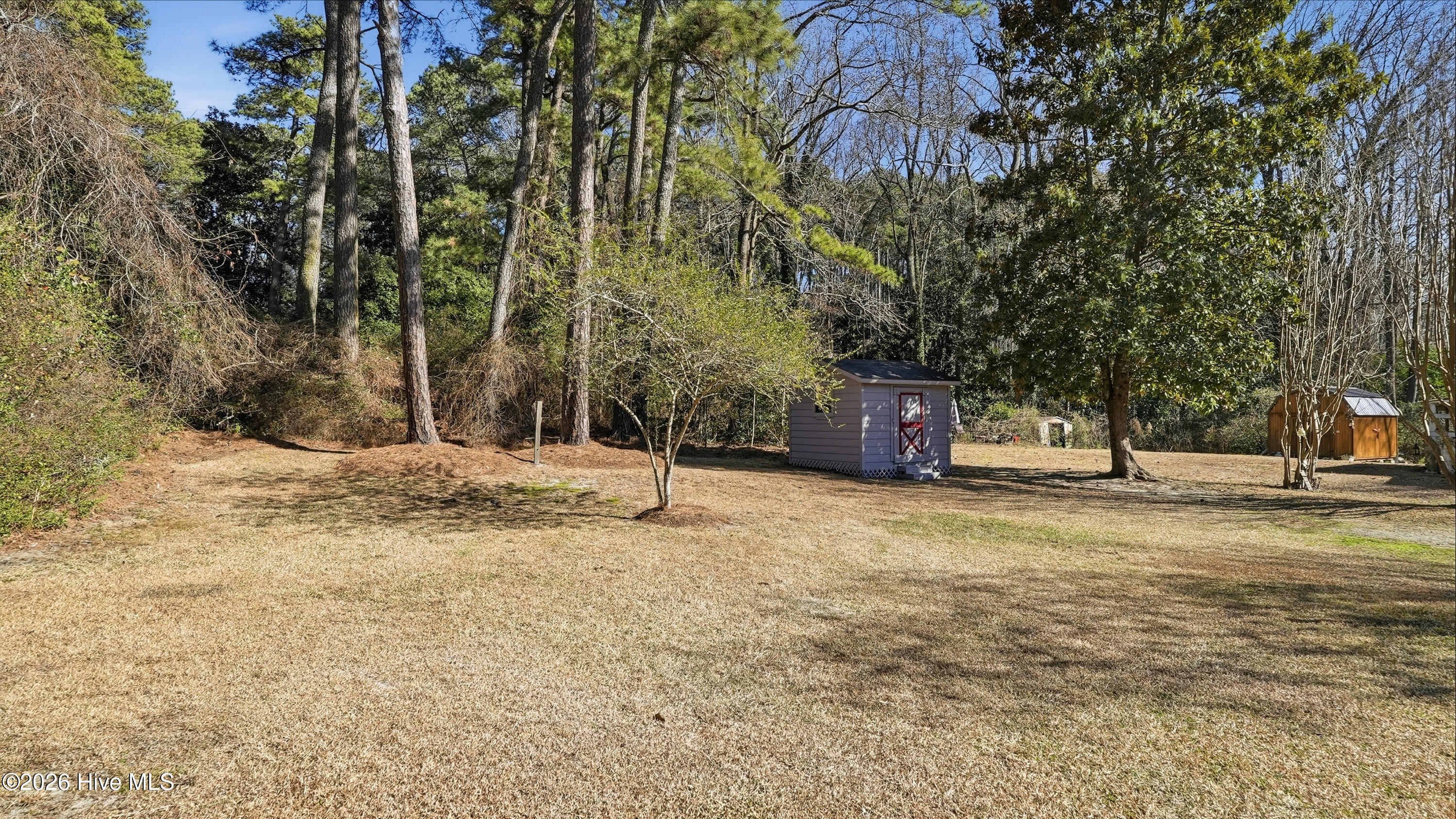 716 Pinecrest Street Carthage, NC 28327 - Photo 44 of 50 DSC04981