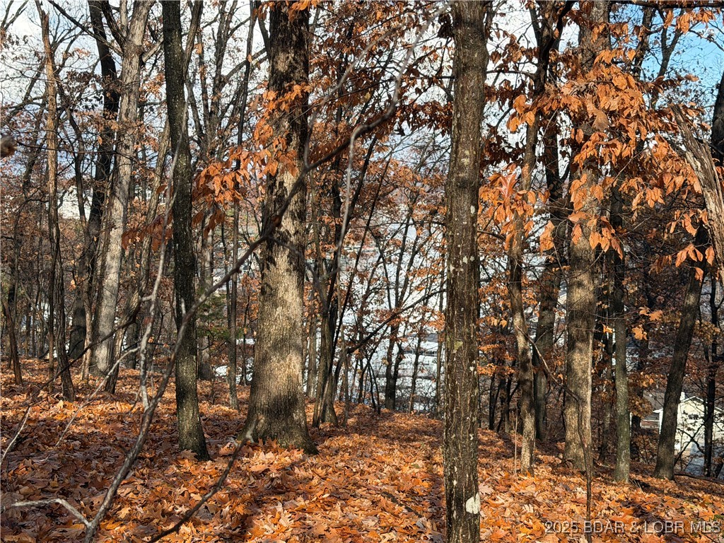 Lot 46 Carol Road Four Seasons, MO 65049 - Photo 2 of 4