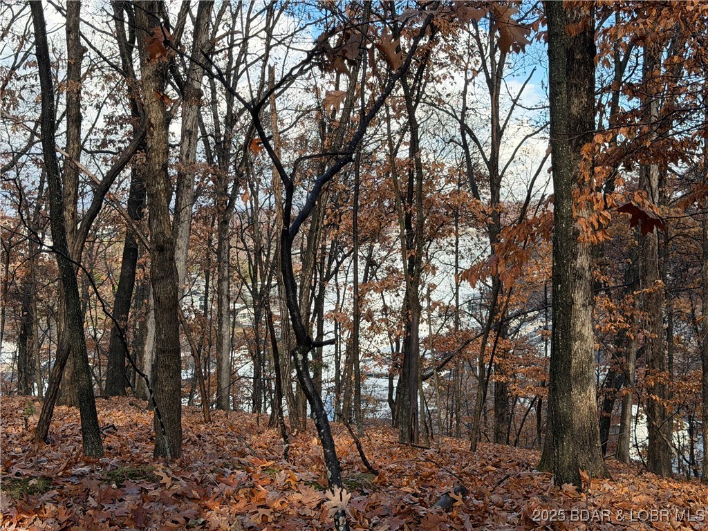 Lot 46 Carol Road Four Seasons, MO 65049 - Photo 3 of 4