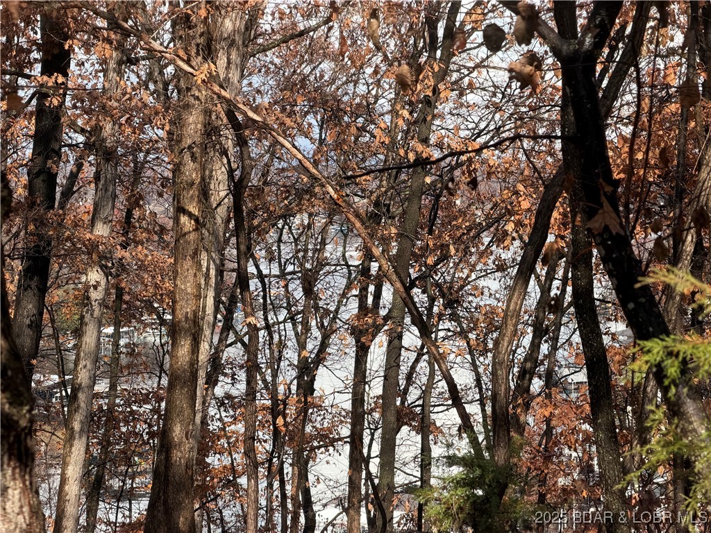 Lot 46 Carol Road Four Seasons, MO 65049 - Photo 4 of 4