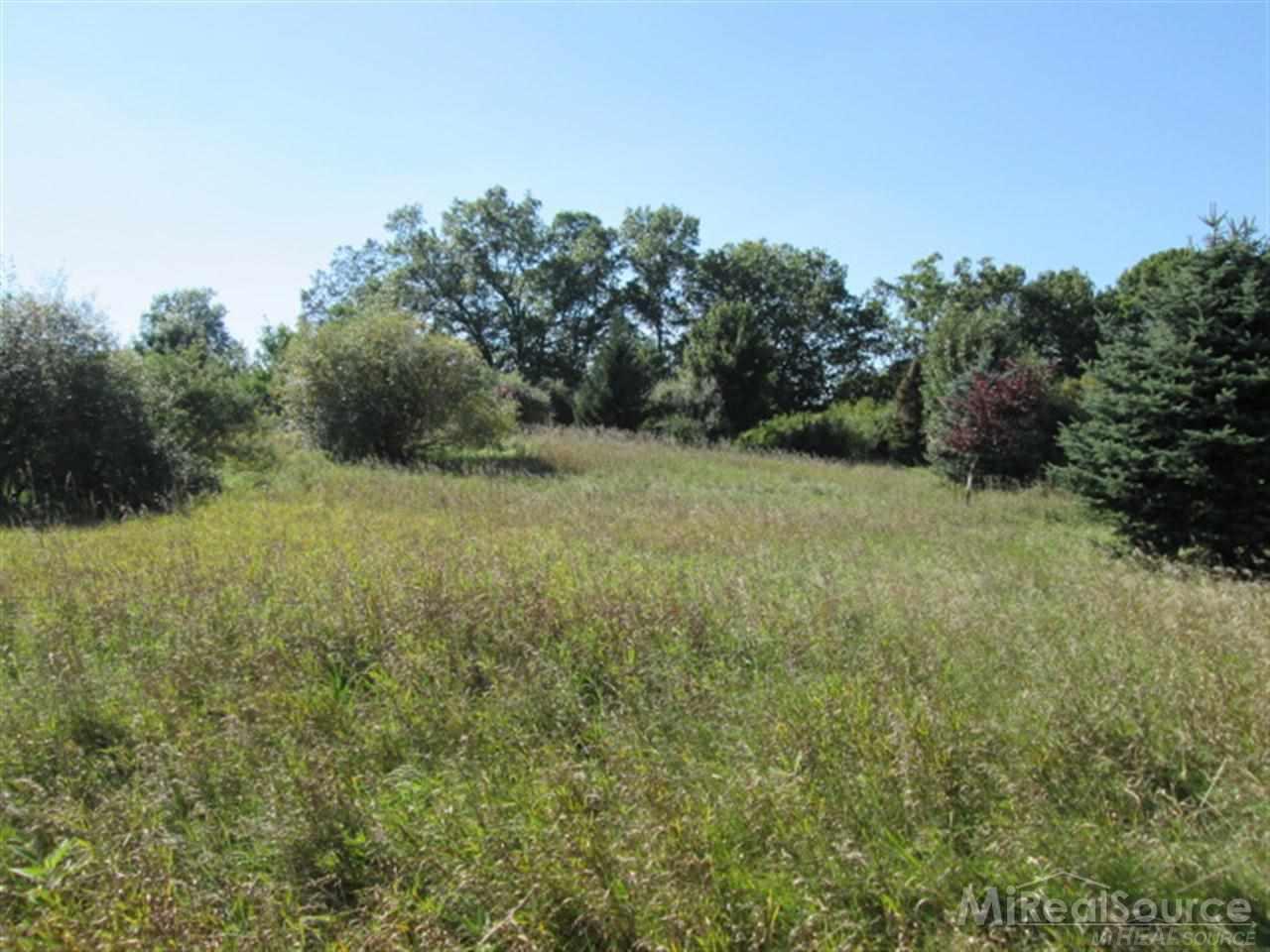 65338 Dequindre Road Washington, MI 48095 - Photo 19 of 28