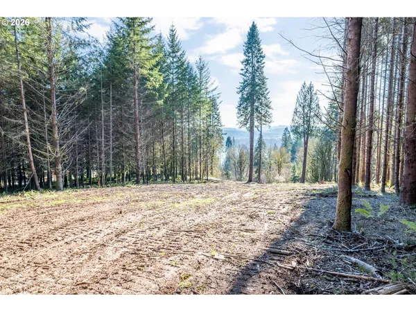 $135,000 | 0 Bunker Hill Road, Unit B, Longview, WA 98632