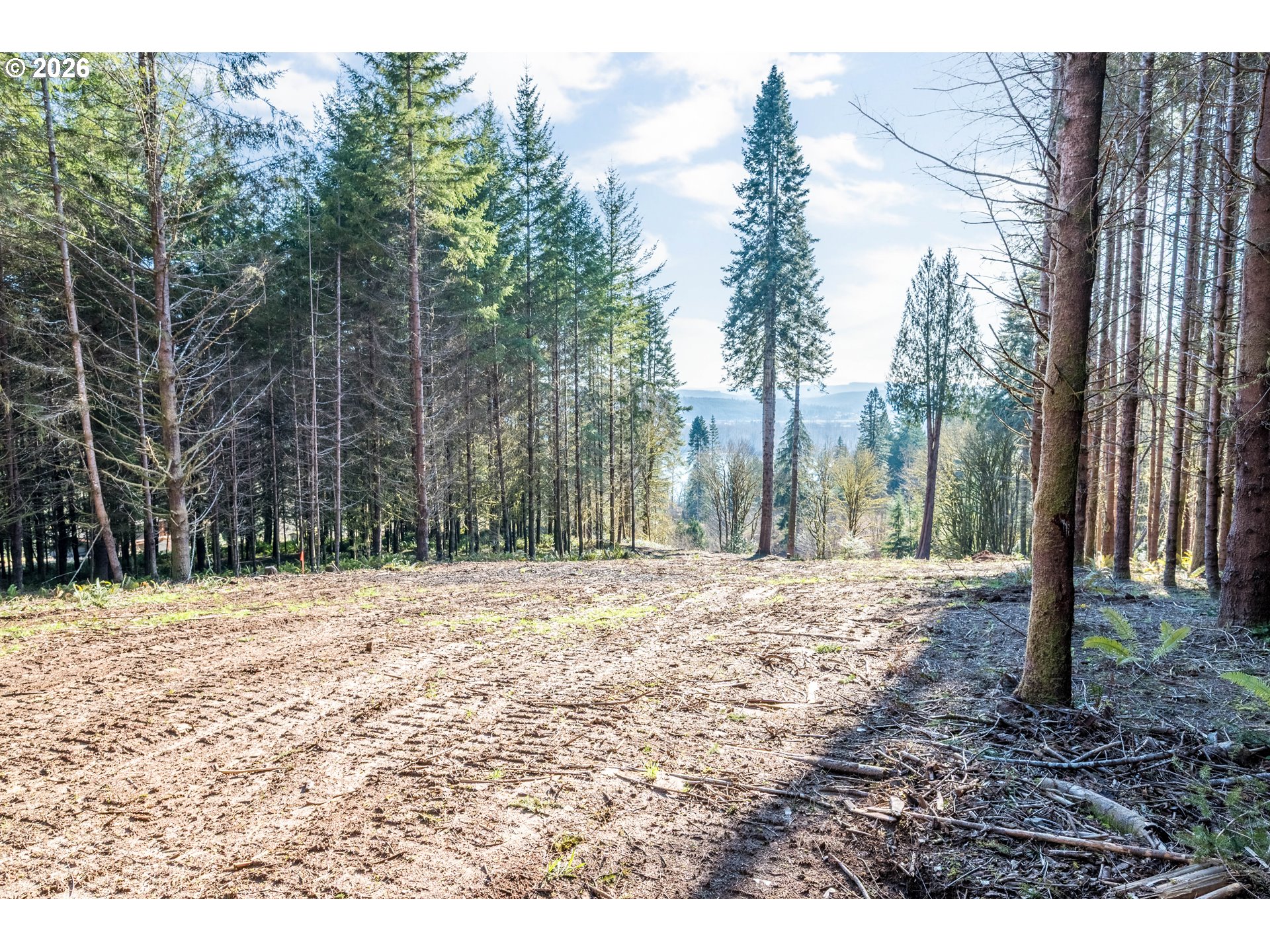 0 Bunker Hill Road, Unit B Longview, WA 98632 - Photo 12 of 17