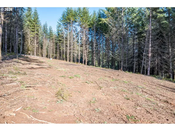 $135,000 | 0 Bunker Hill Road, Unit B, Longview, WA 98632