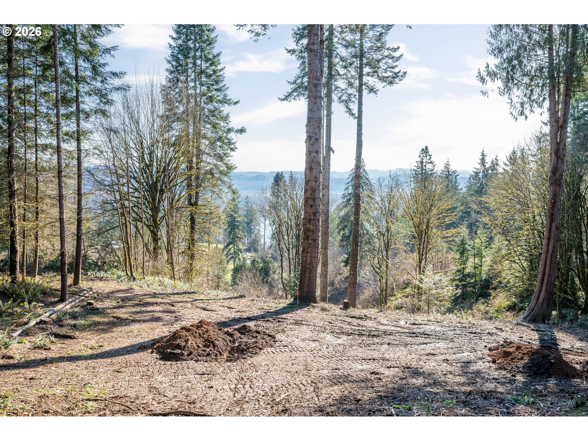 0 Bunker Hill Road, Unit B Longview, WA 98632 - Photo 14 of 17