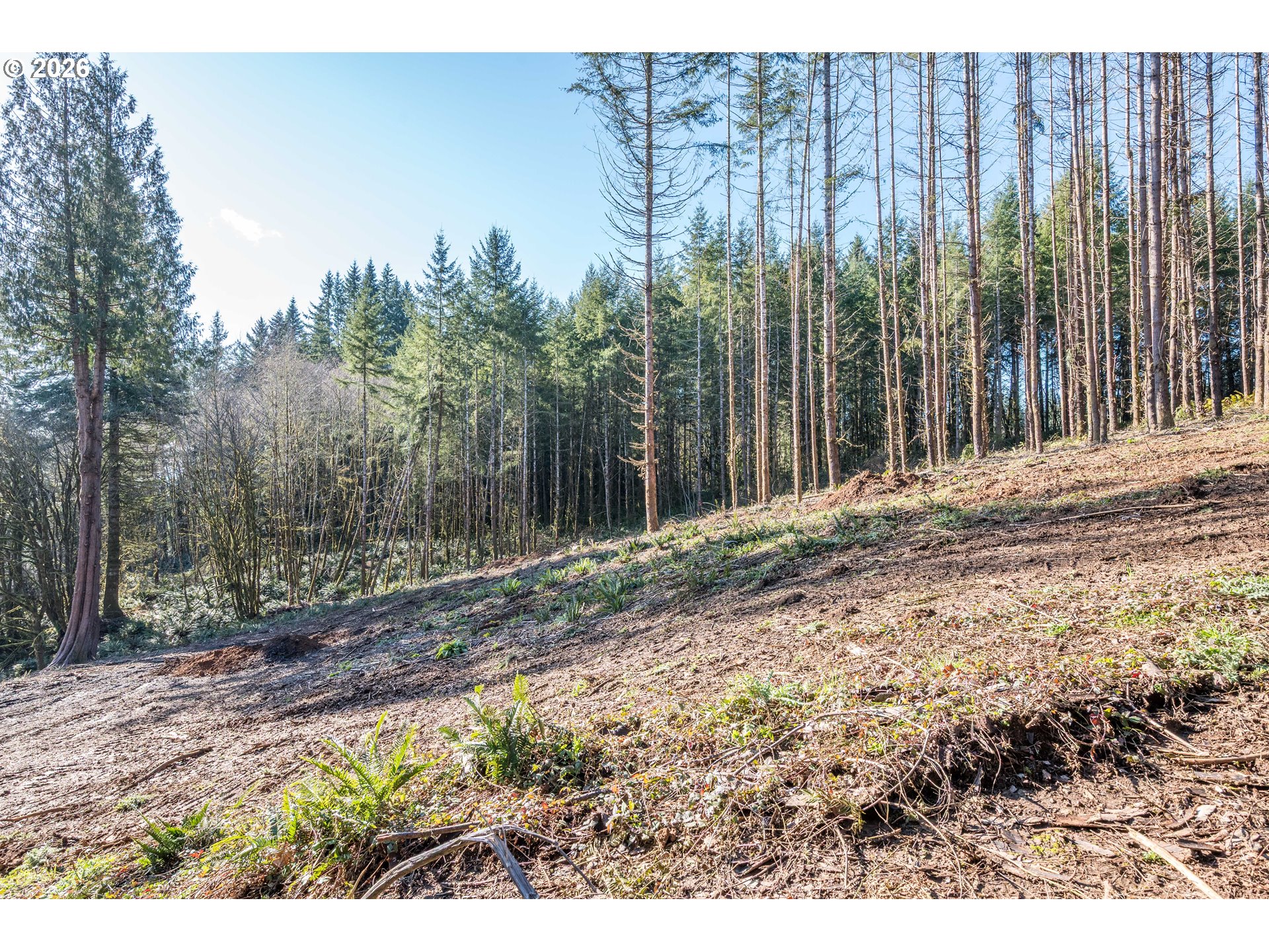 0 Bunker Hill Road, Unit B Longview, WA 98632 - Photo 15 of 17