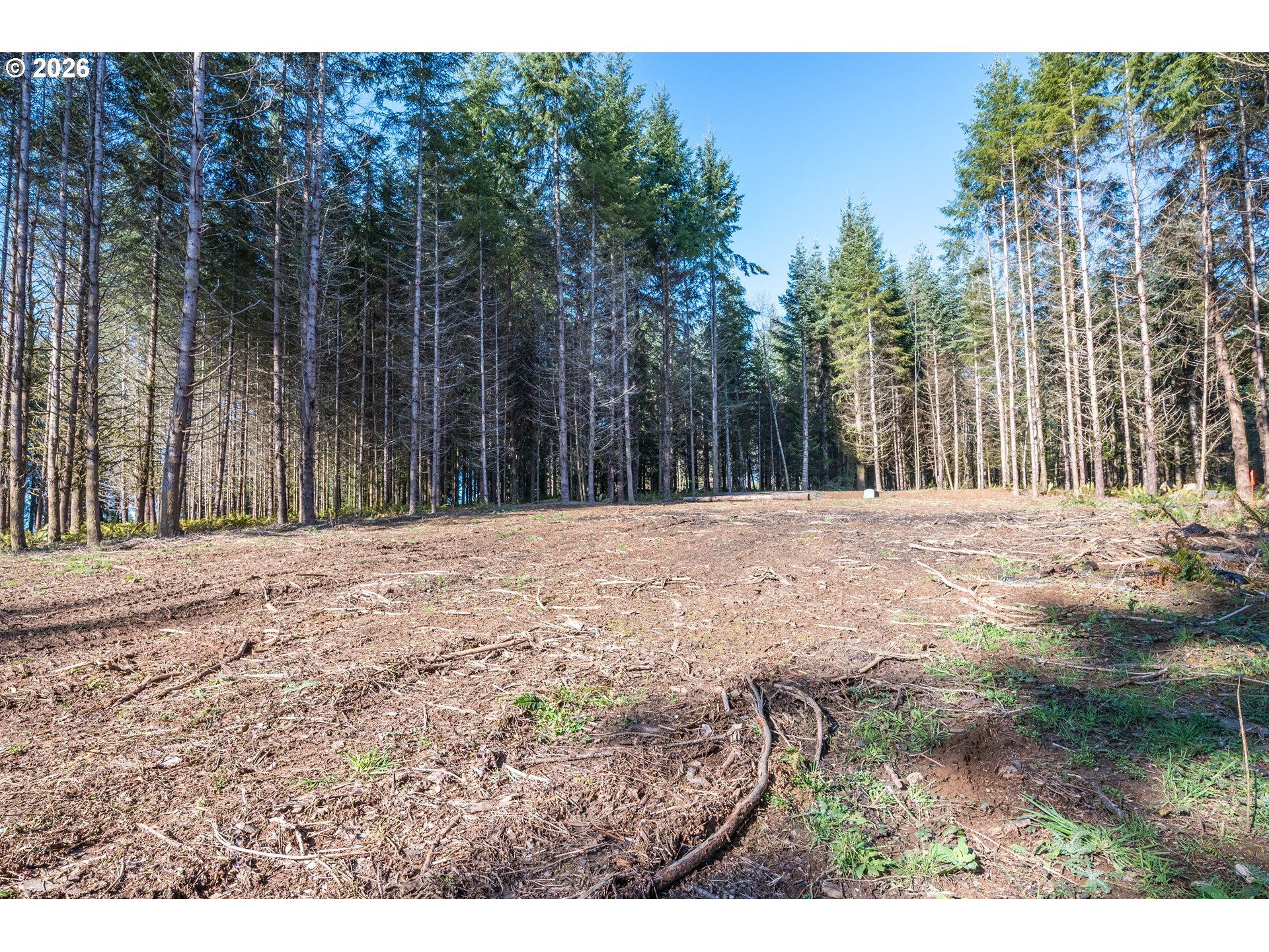 0 Bunker Hill Road, Unit B Longview, WA 98632 - Photo 16 of 17