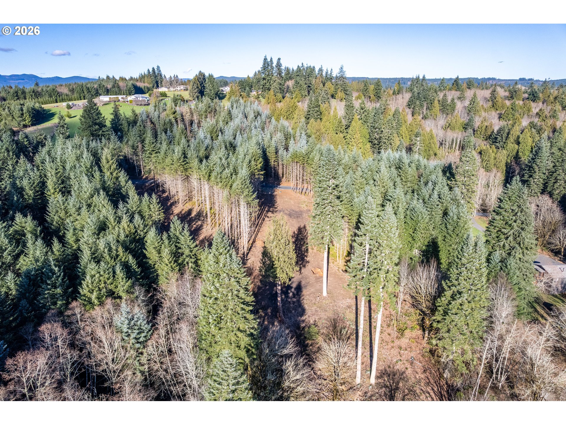 0 Bunker Hill Road, Unit B Longview, WA 98632 - Photo 6 of 17