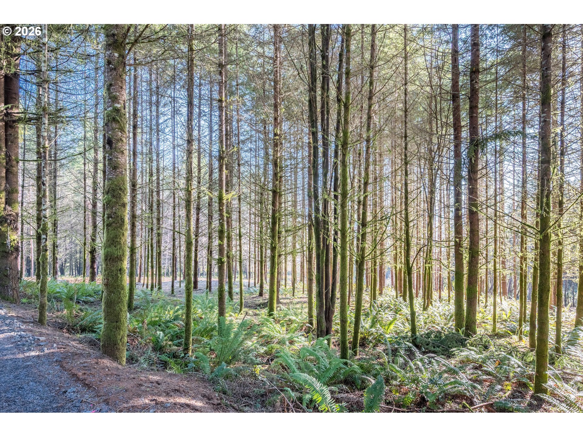 0 Bunker Hill Road, Unit B Longview, WA 98632 - Photo 10 of 17