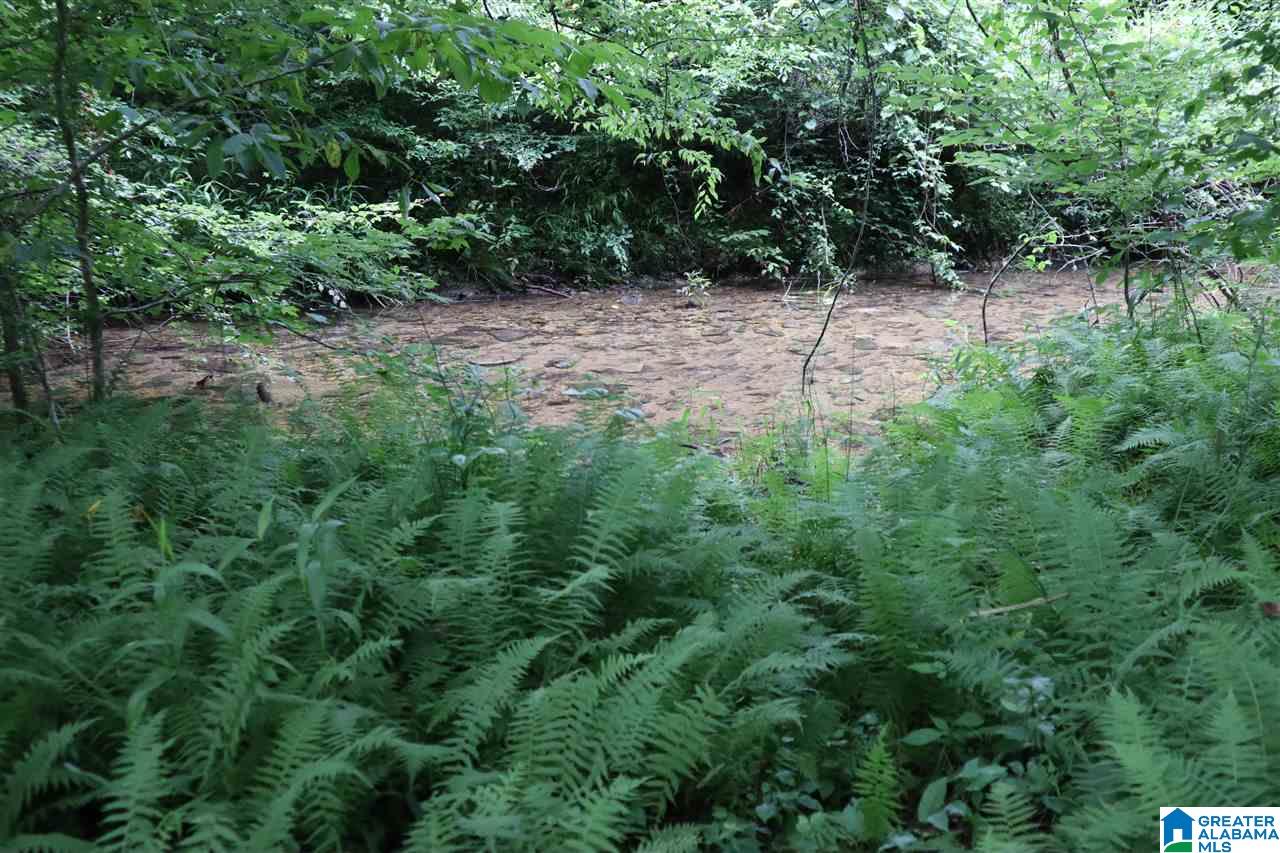 0 County Road 61, Unit 366 92 ACRES Fruithurst, AL 36262 - Photo 19 of 26