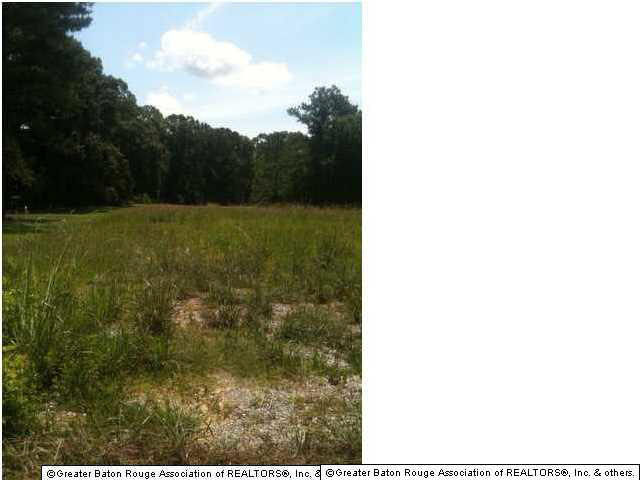 7671 Elliot Road Baton Rouge, LA 70817 - Photo 1 of 3