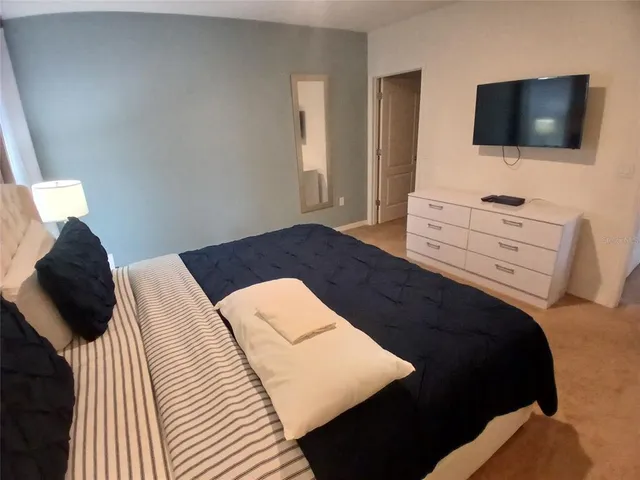 a view of a park with large trees